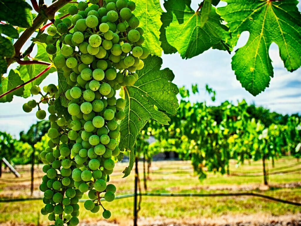 Garage Door Repair Longview, TX