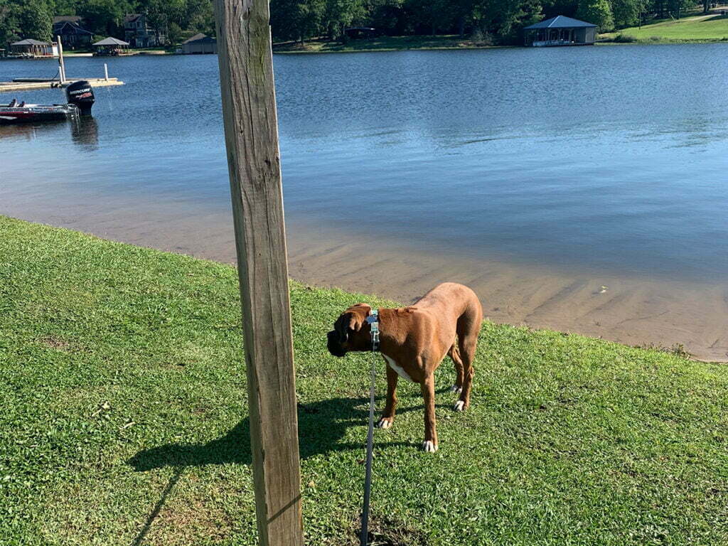 Garage Door Repair Longview, TX
